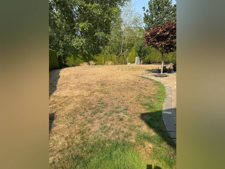 17351 64a Avenue, Surrey, BC, V3S 0P5 - 21