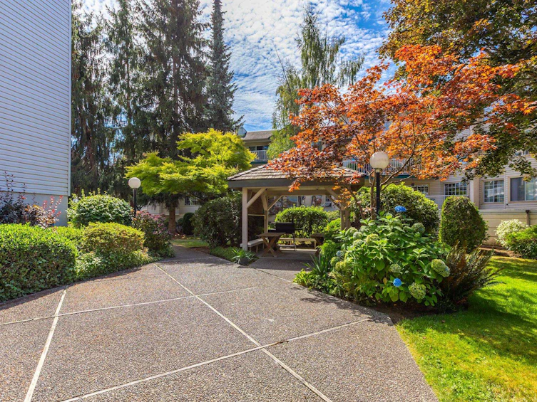 205-5363 206 Street, Langley, BC, V3A 2C5 - 35