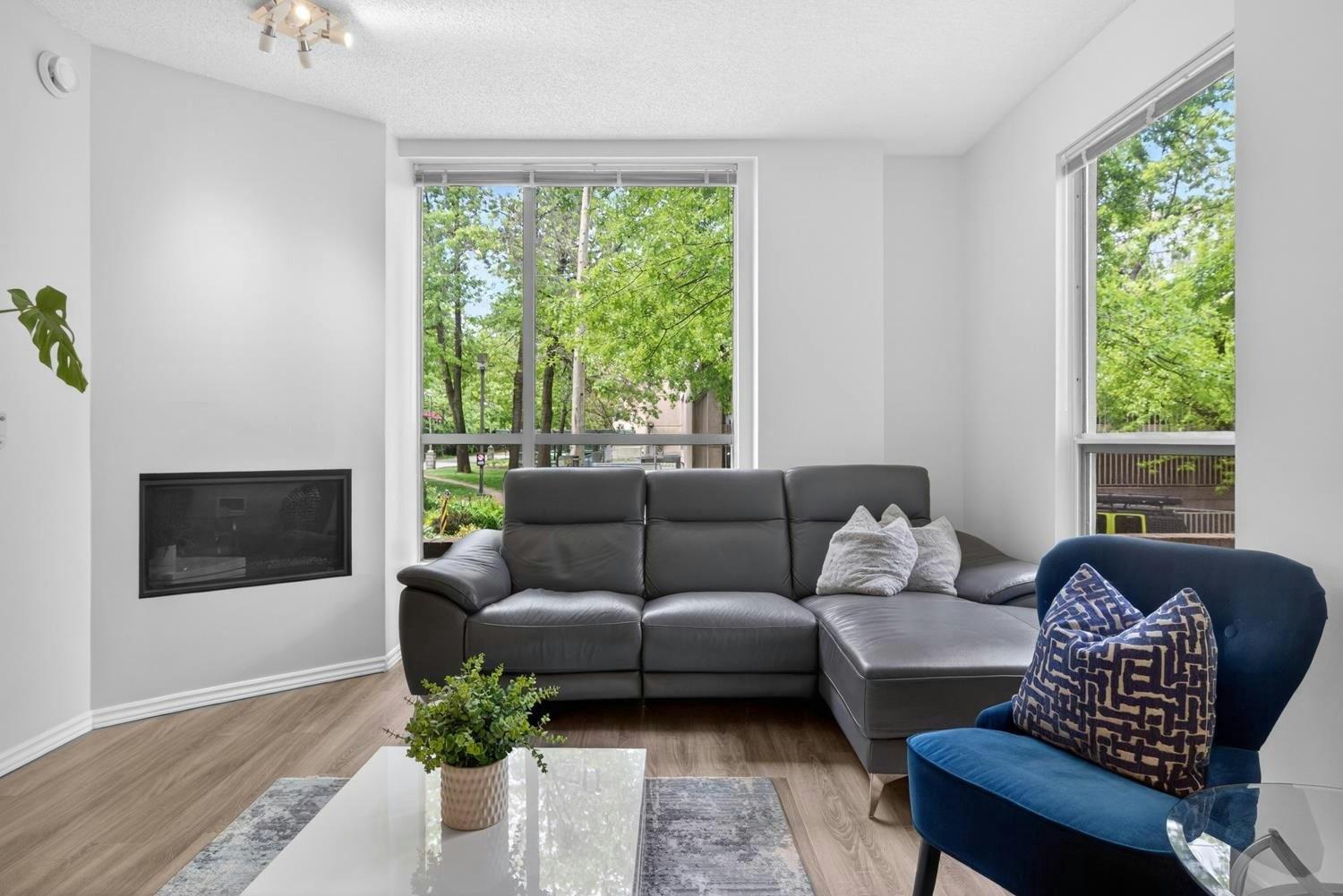 201-2668 Ash Street - 4