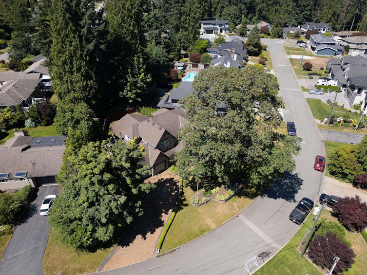 930 Selkirk Crescent, Coquitlam, BC, V3J 6E5 - 38