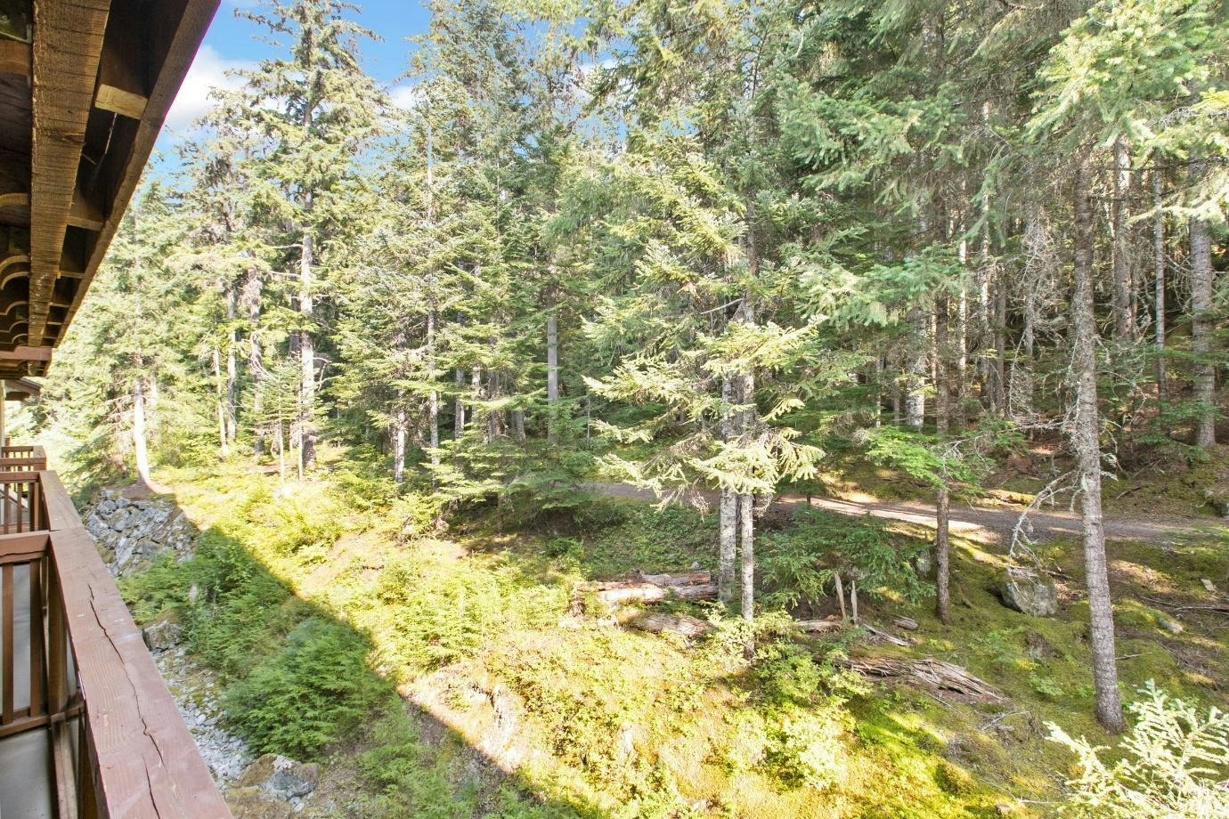 310G2-4653 Blackcomb Way, Whistler, BC, V8E 0Y9 - 6