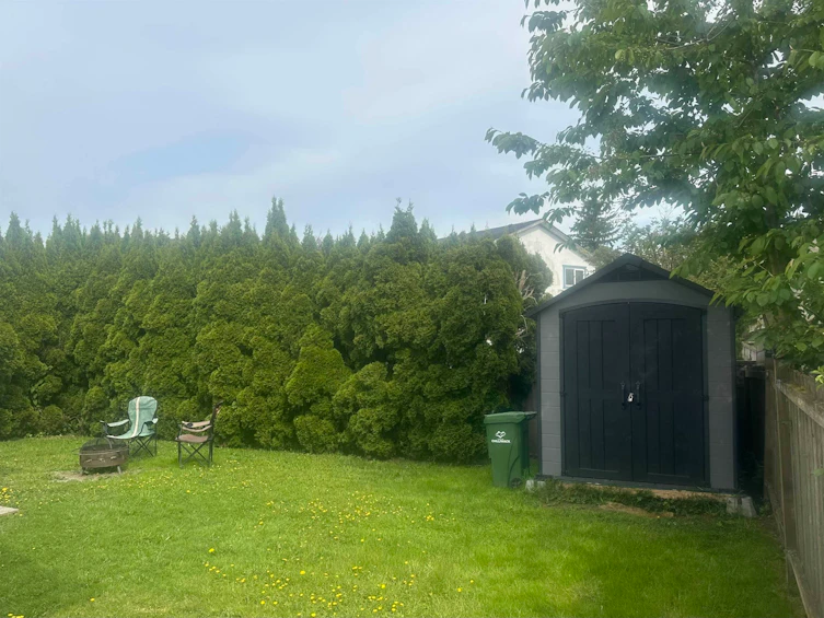 9536 Carroll Street, Chilliwack, BC, V2P 7G4 - 20