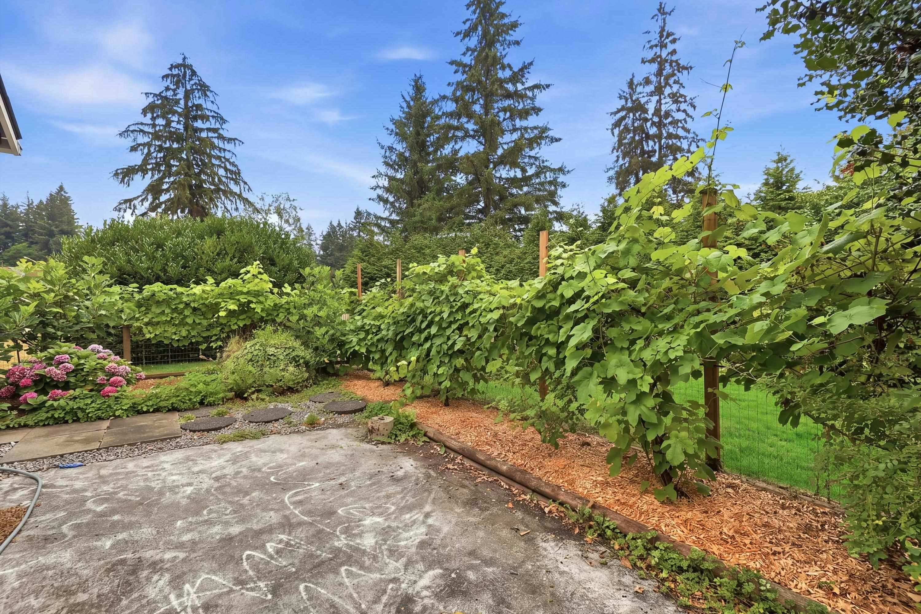 23055 132 Avenue, Maple Ridge, BC, V4R 0A8 - 11
