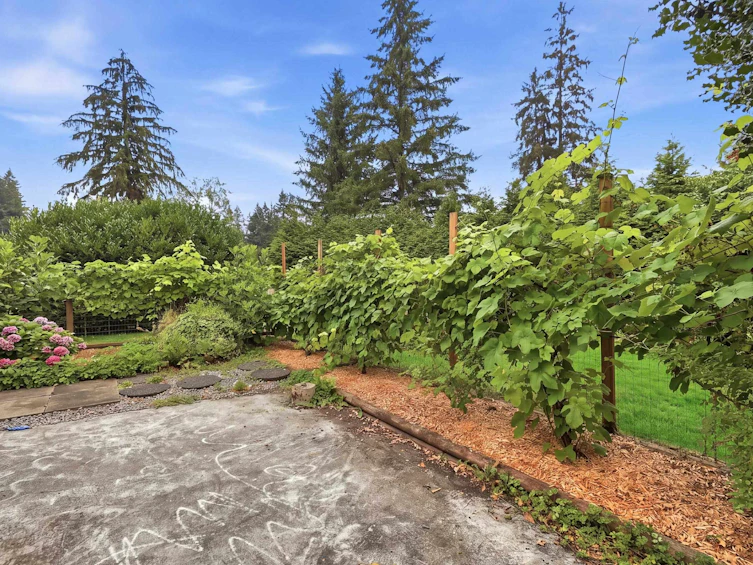 23055 132 Avenue, Maple Ridge, BC, V4R 0A8 - 11