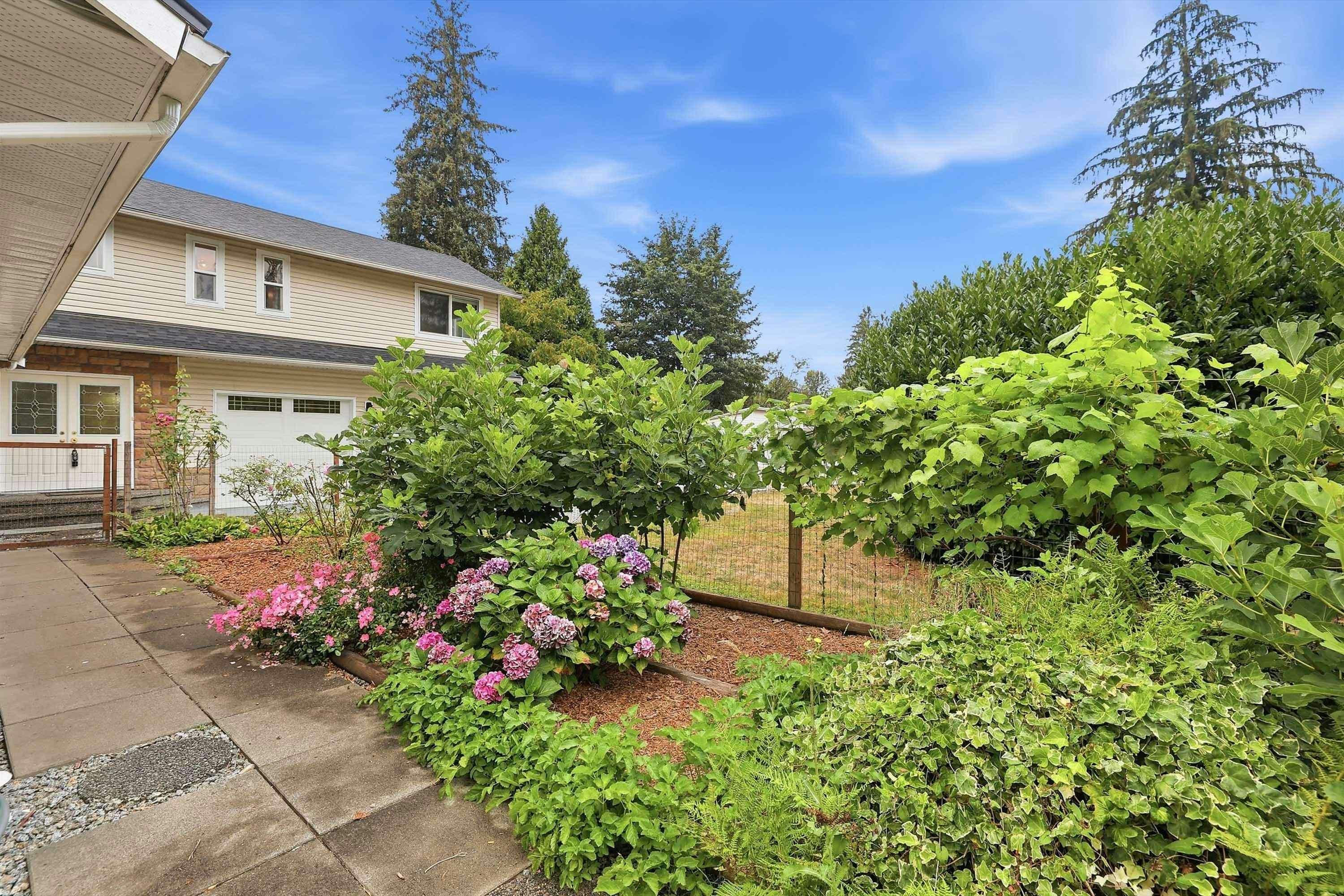 23055 132 Avenue, Maple Ridge, BC, V4R 0A8 - 32