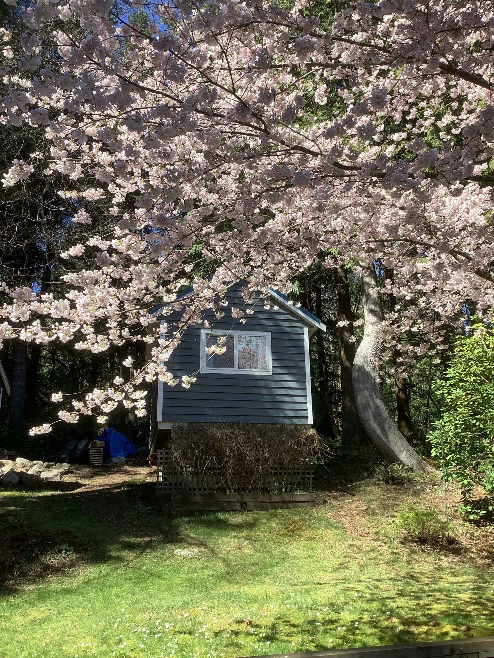 405 Gavin Road, Keats Island, BC, V0N 1V0 - 40