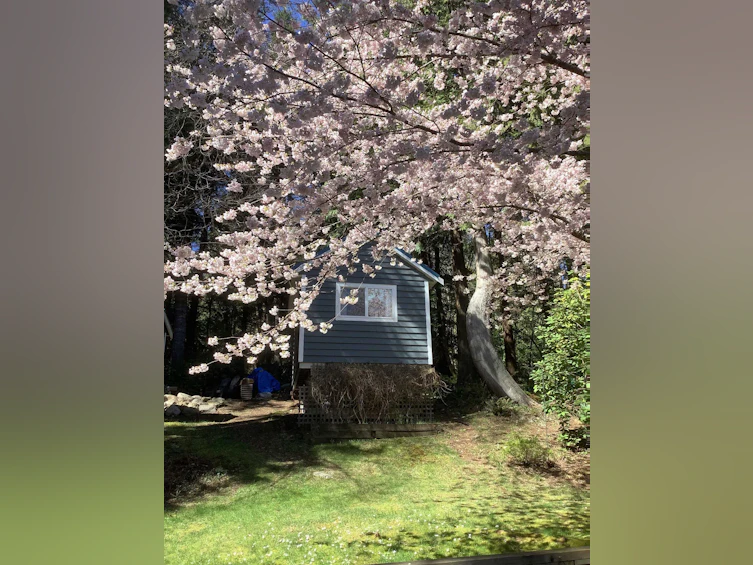 405 Gavin Road, Keats Island, BC, V0N 1V0 - 40