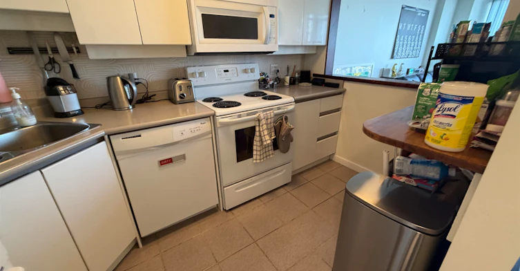 2902-930 Cambie Street, Vancouver, BC, V6B 5X6 - 3