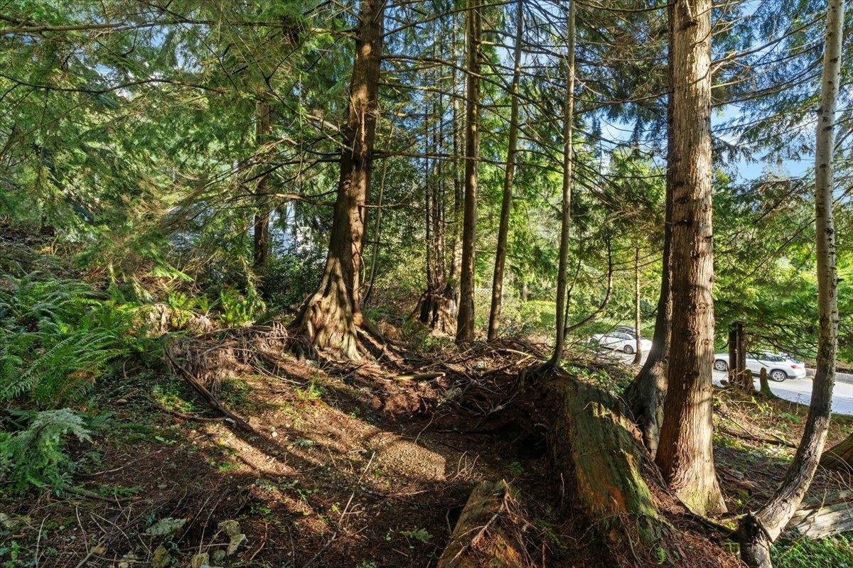 478 Craigmohr Drive, West Vancouver, BC, V7S 1W6 - 11