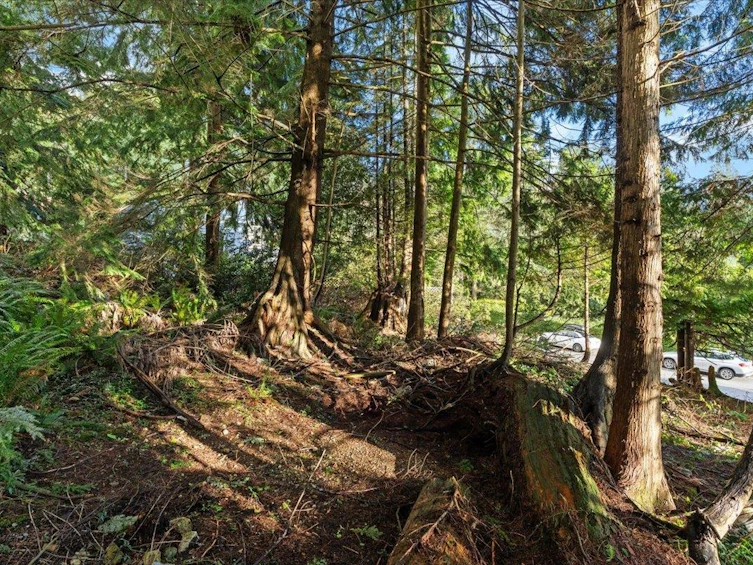 478 Craigmohr Drive, West Vancouver, BC, V7S 1W6 - 11