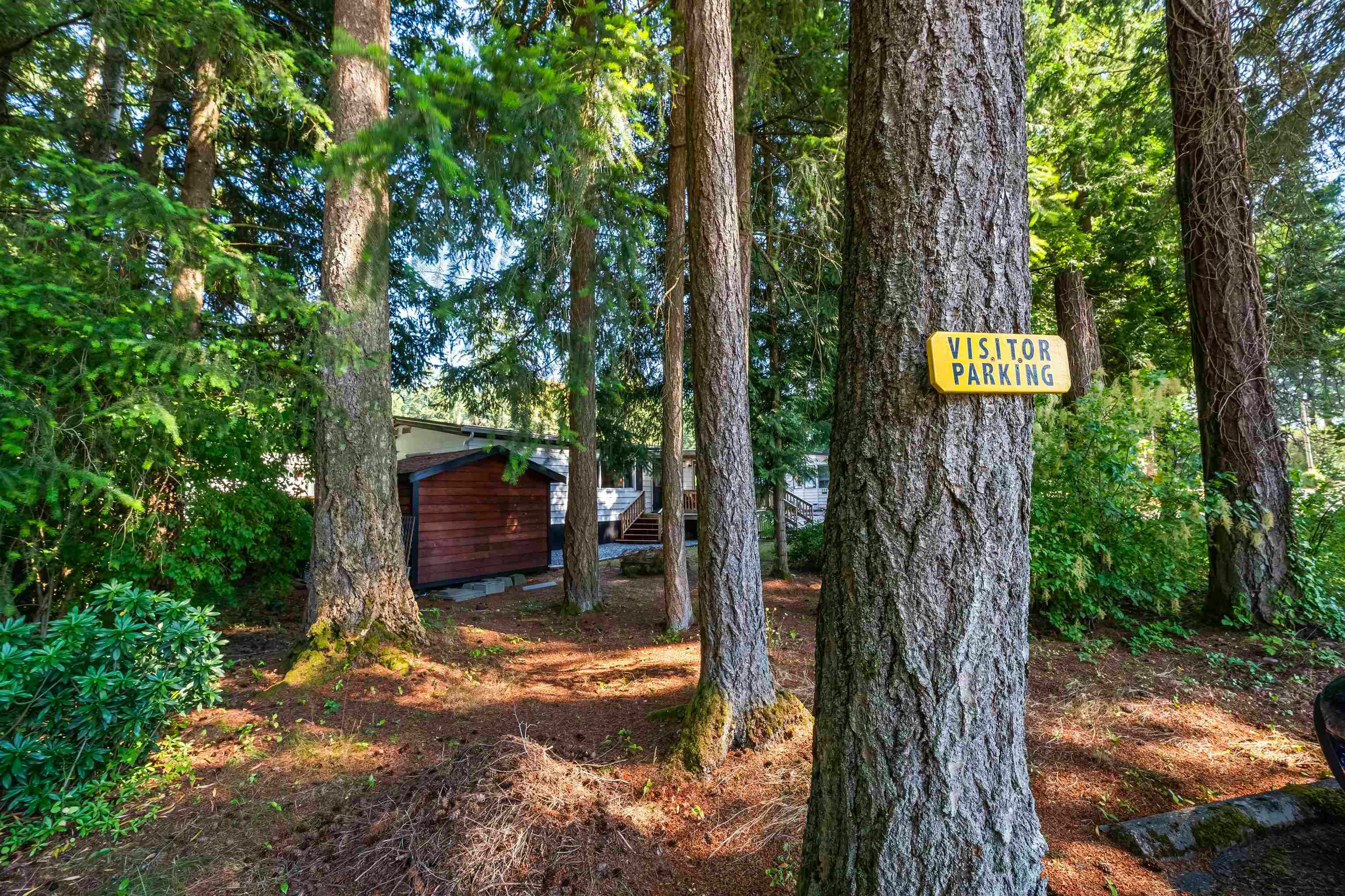 215-20071 24 Avenue, Langley, BC, V2Z 2A1 - 37