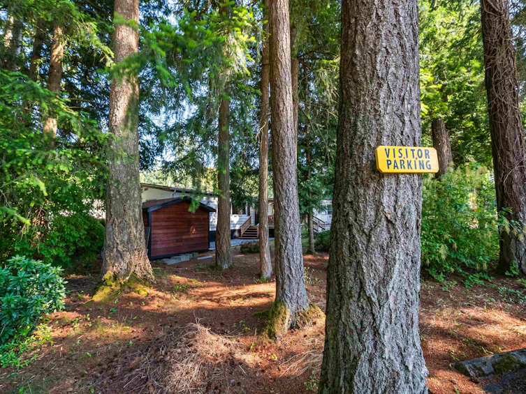 215-20071 24 Avenue, Langley, BC, V2Z 2A1 - 37