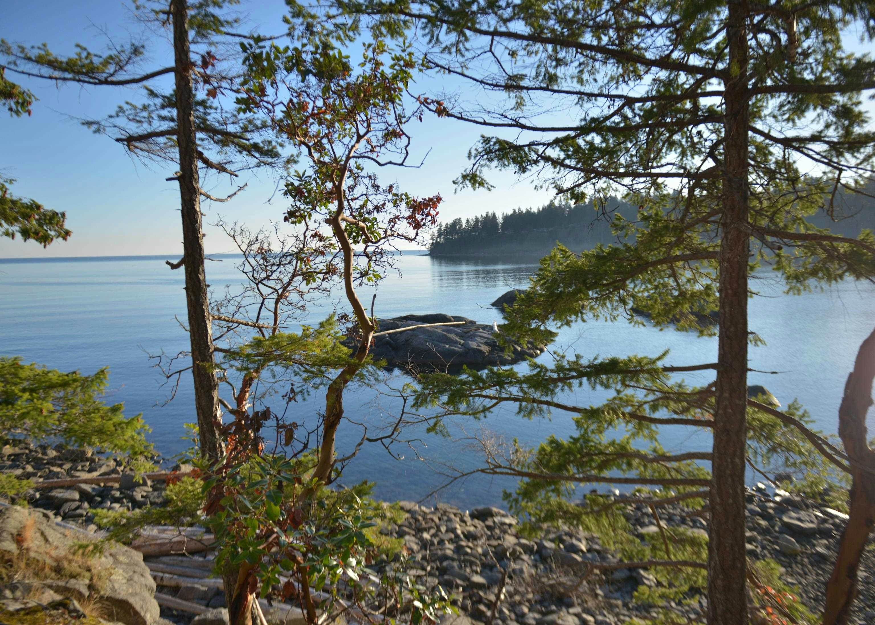 7643 Cove Beach Road - 5