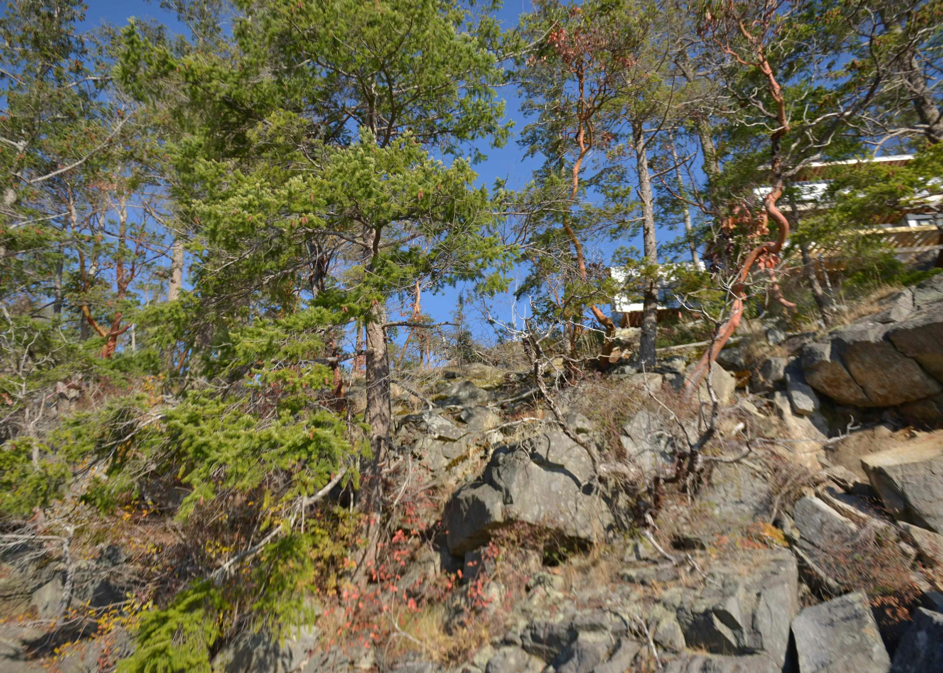 7643 Cove Beach Road, Halfmoon Bay, BC, V7Z 1C3 - 10