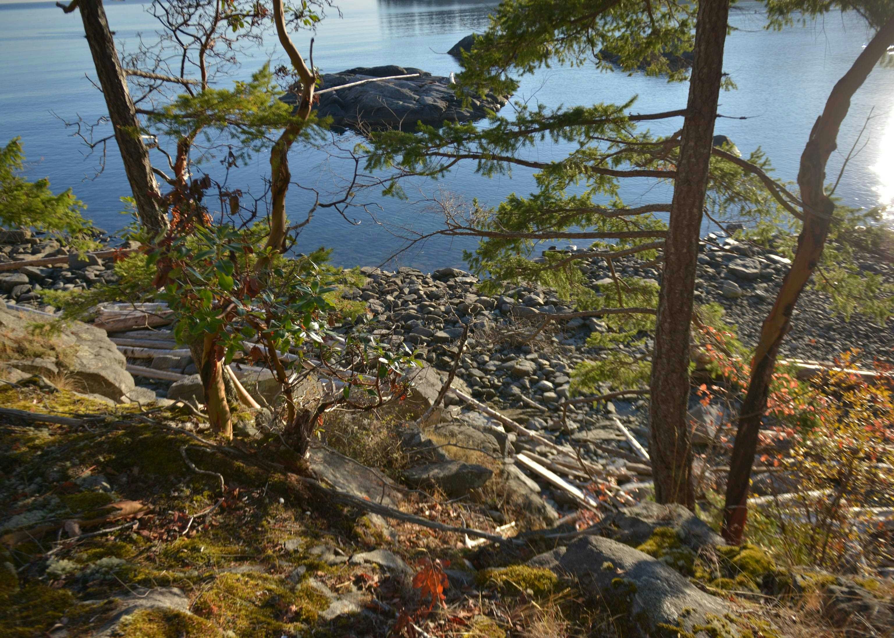 7643 Cove Beach Road, Halfmoon Bay, BC, V7Z 1C3 - 19