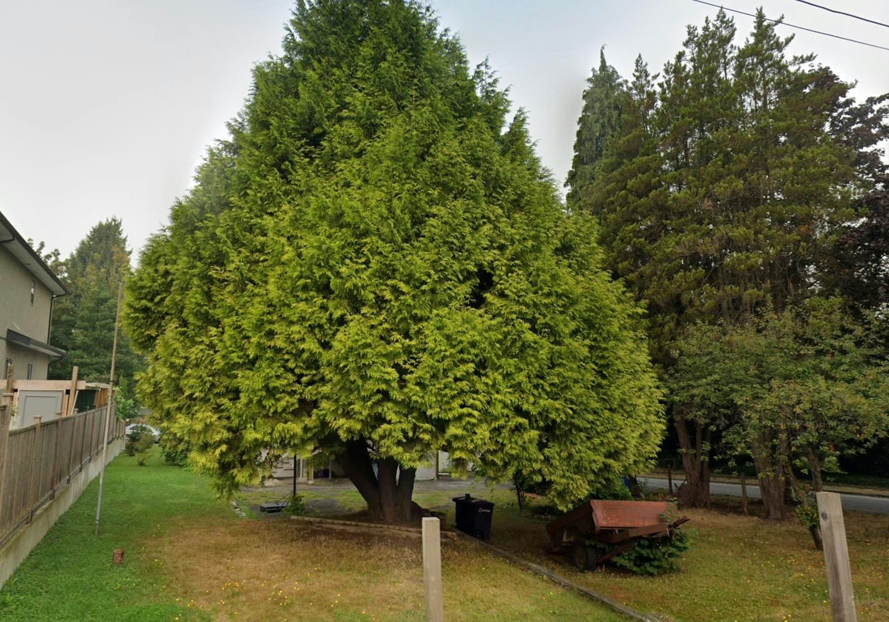 4910 Willingdon Avenue - 3