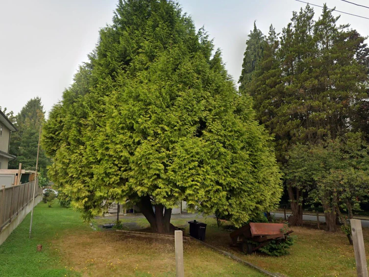 4910 Willingdon Avenue, Burnaby, BC, V5G 3H8 - 4