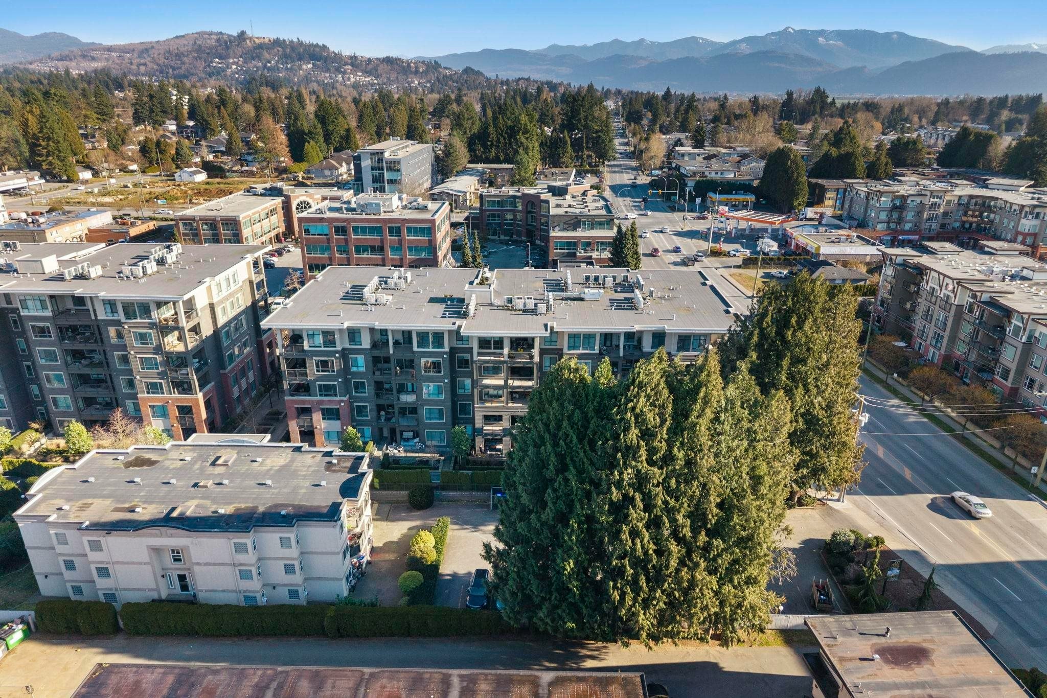 309-33540 Mayfair Avenue, Abbotsford, BC, V2S 0J3 - 33