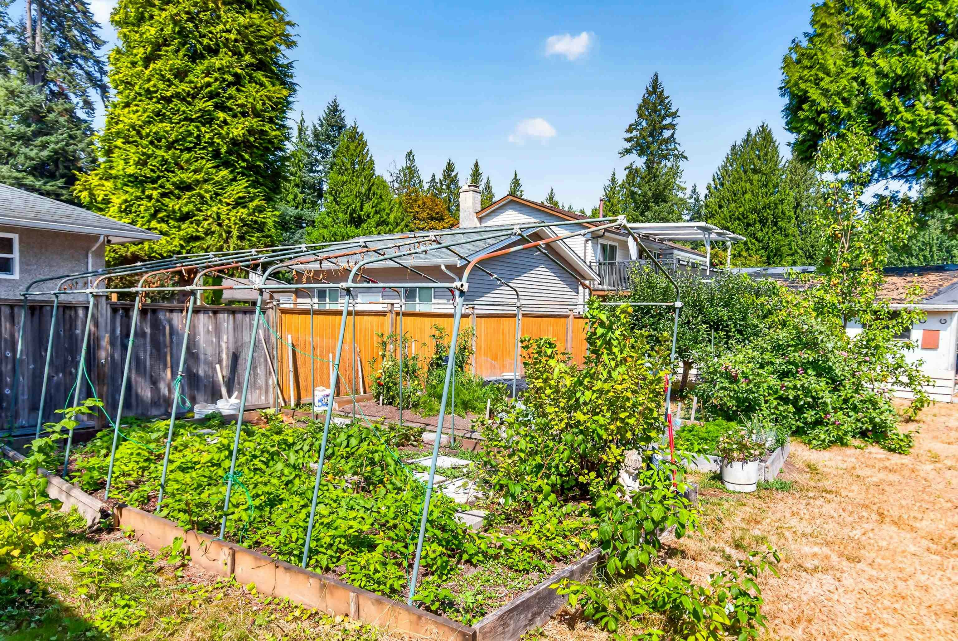 21437 122 Avenue, Maple Ridge, BC, V2X 3W7 - 32