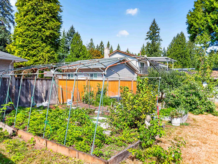 21437 122 Avenue, Maple Ridge, BC, V2X 3W7 - 32
