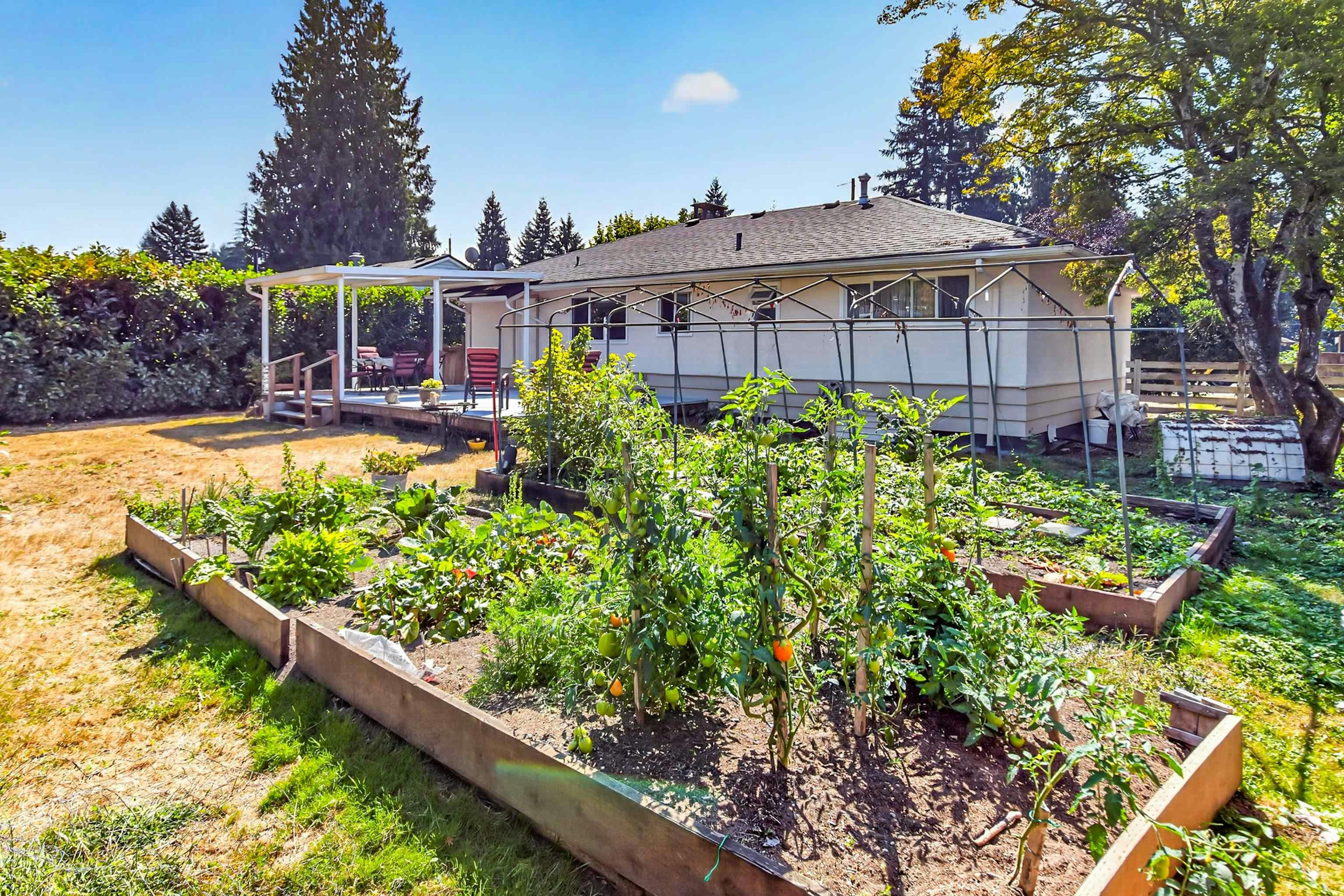 21437 122 Avenue, Maple Ridge, BC, V2X 3W7 - 30