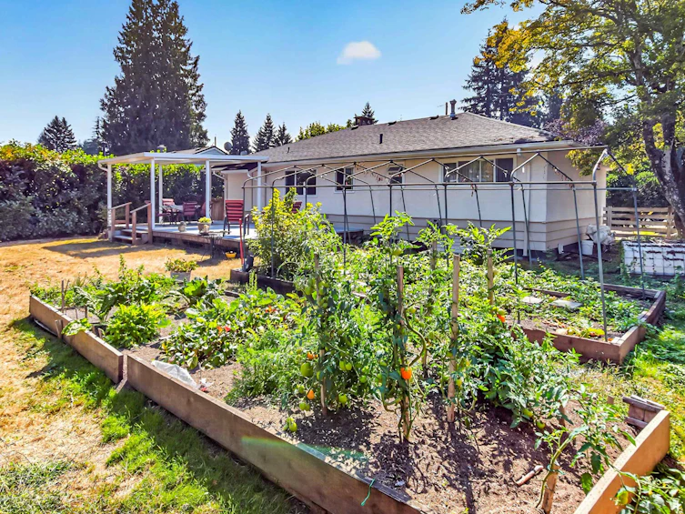 21437 122 Avenue, Maple Ridge, BC, V2X 3W7 - 30