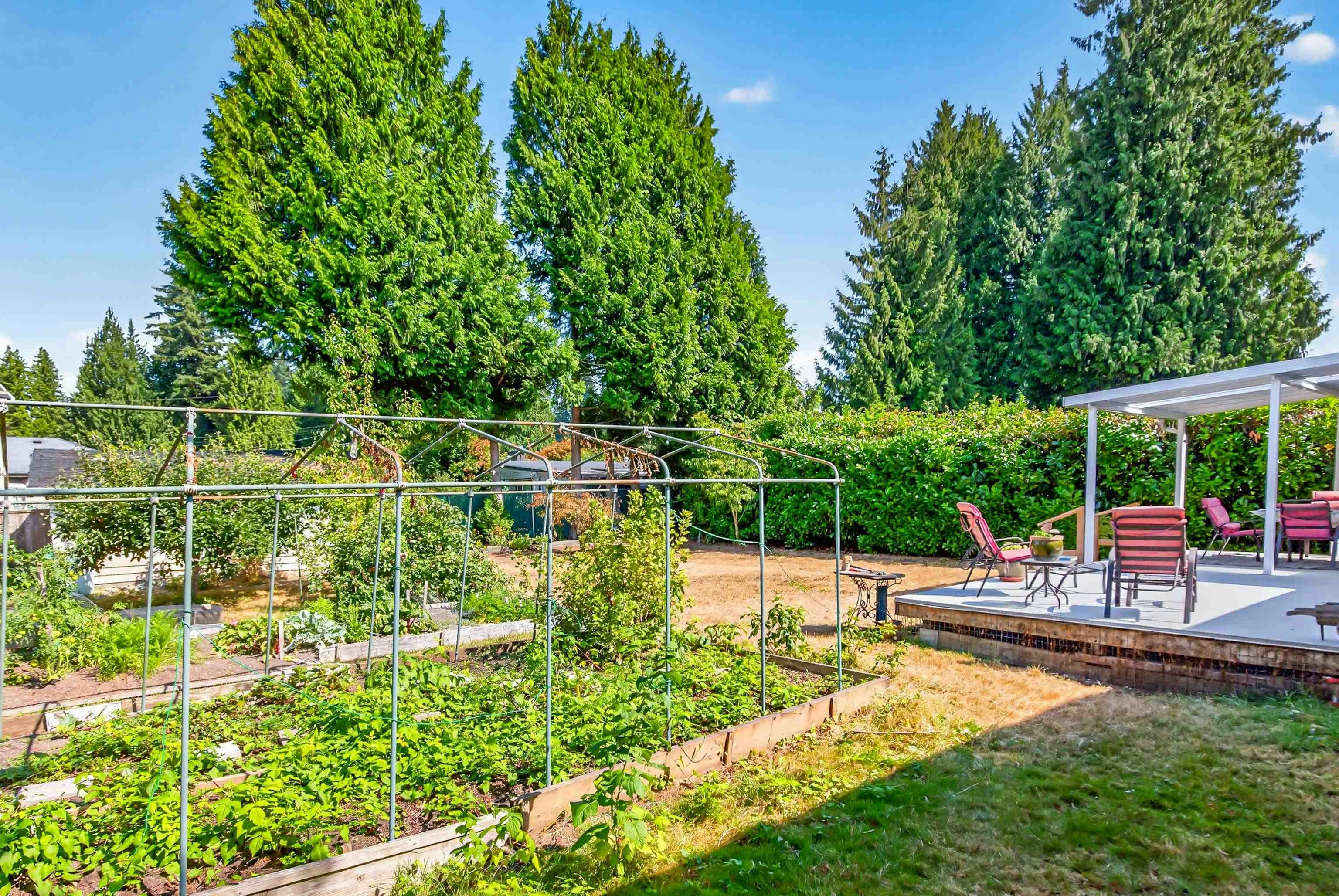 21437 122 Avenue, Maple Ridge, BC, V2X 3W7 - 31