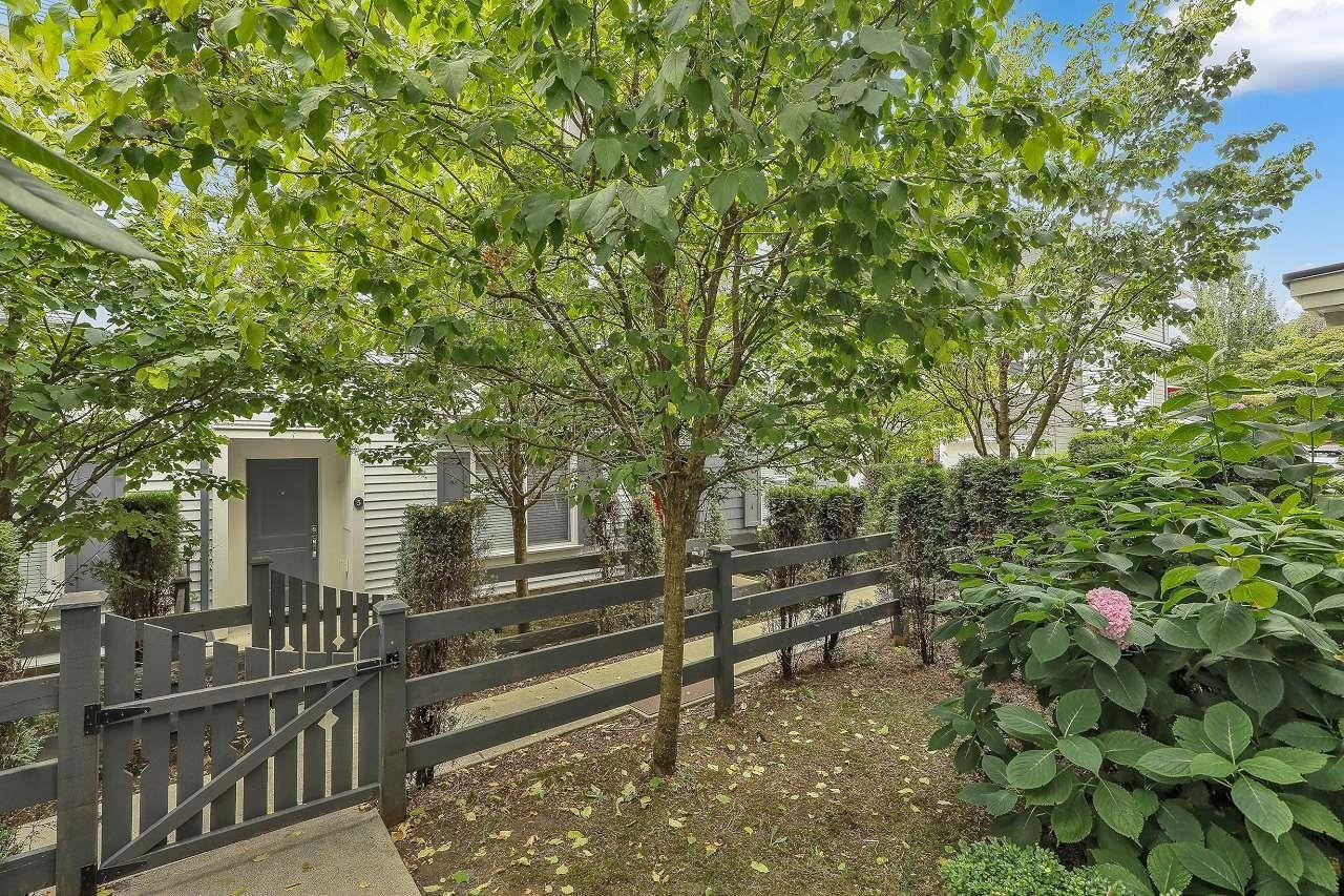 8-10433 158 Street, Surrey, BC, V4N 6S3 - 33
