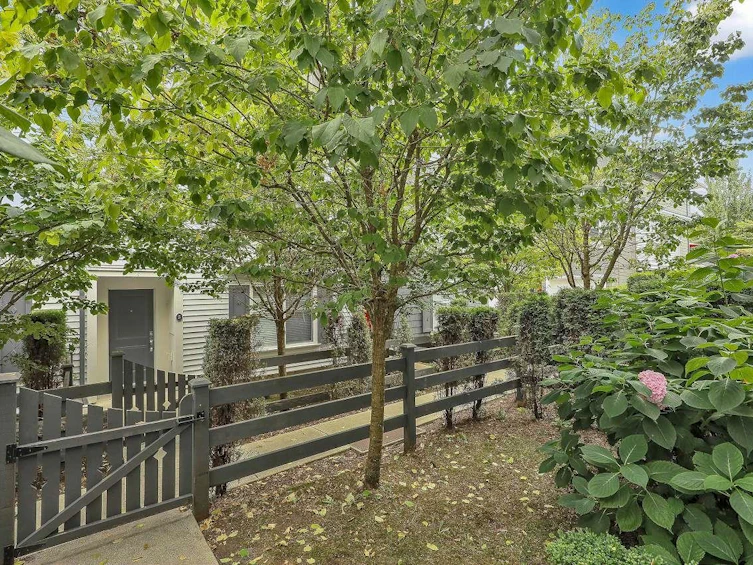8-10433 158 Street, Surrey, BC, V4N 6S3 - 33