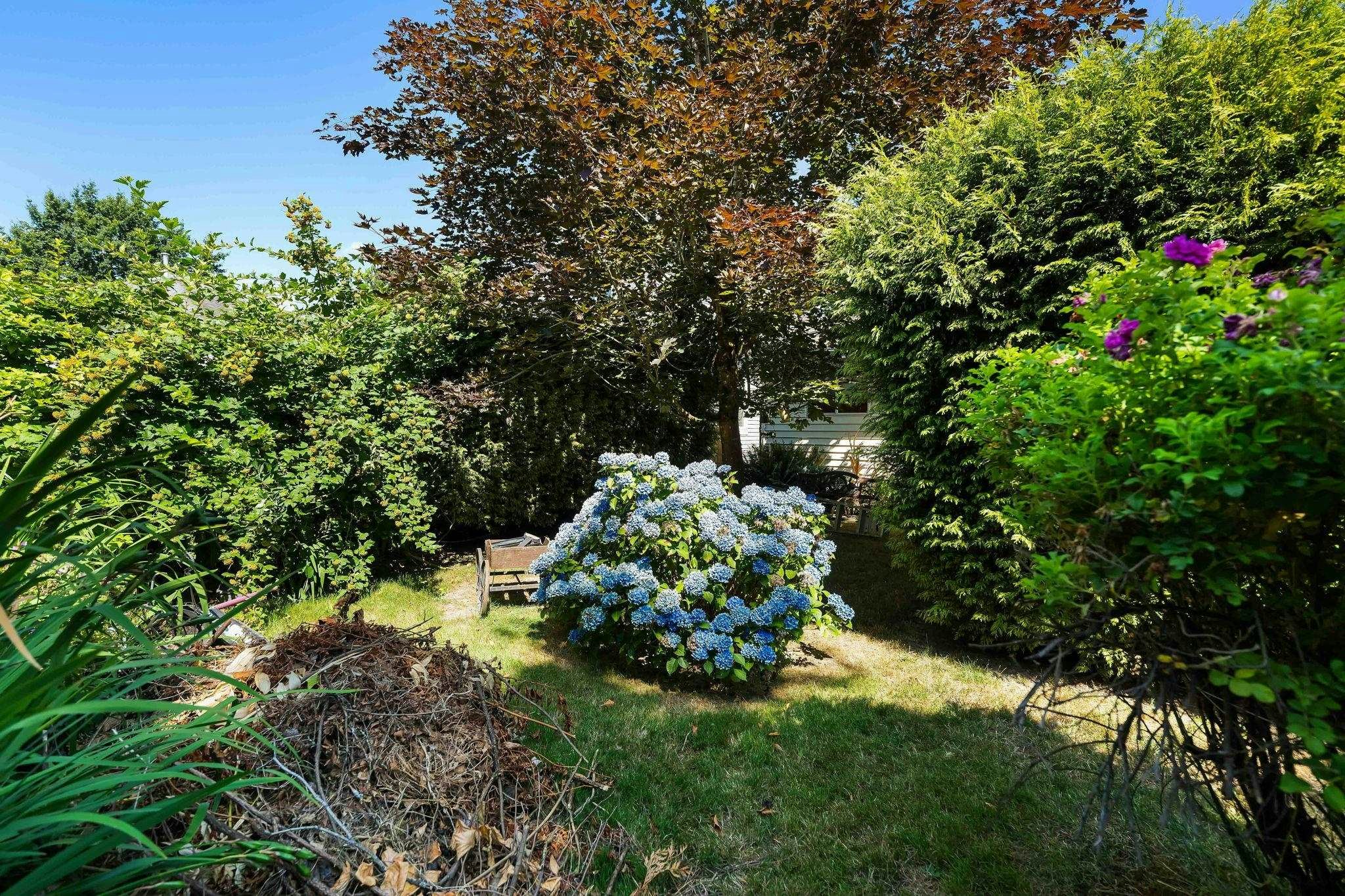 23410 Nightingale Avenue, Maple Ridge, BC, V2X 9C8 - 26