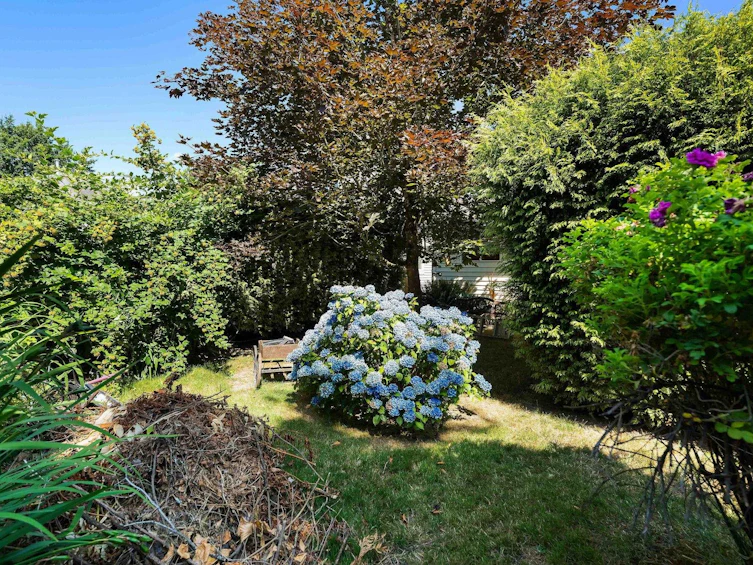 23410 Nightingale Avenue, Maple Ridge, BC, V2X 9C8 - 26