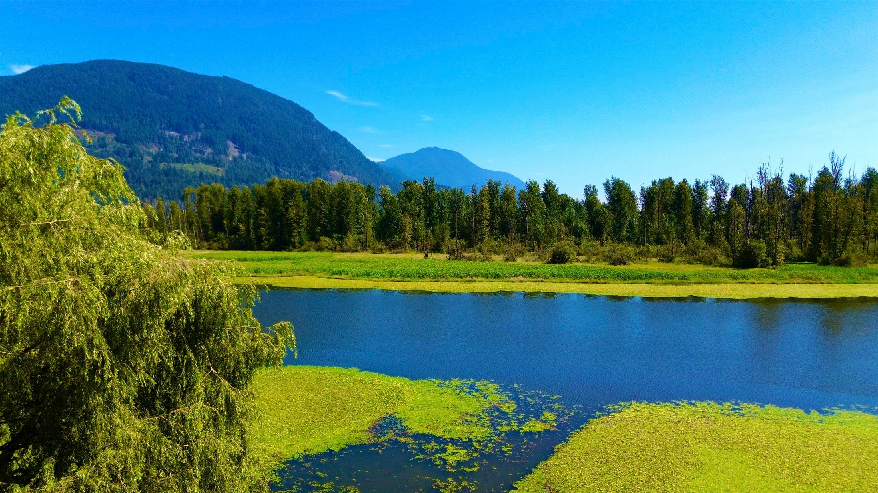 8586 Shook Road, Mission, BC, V2V 7L8