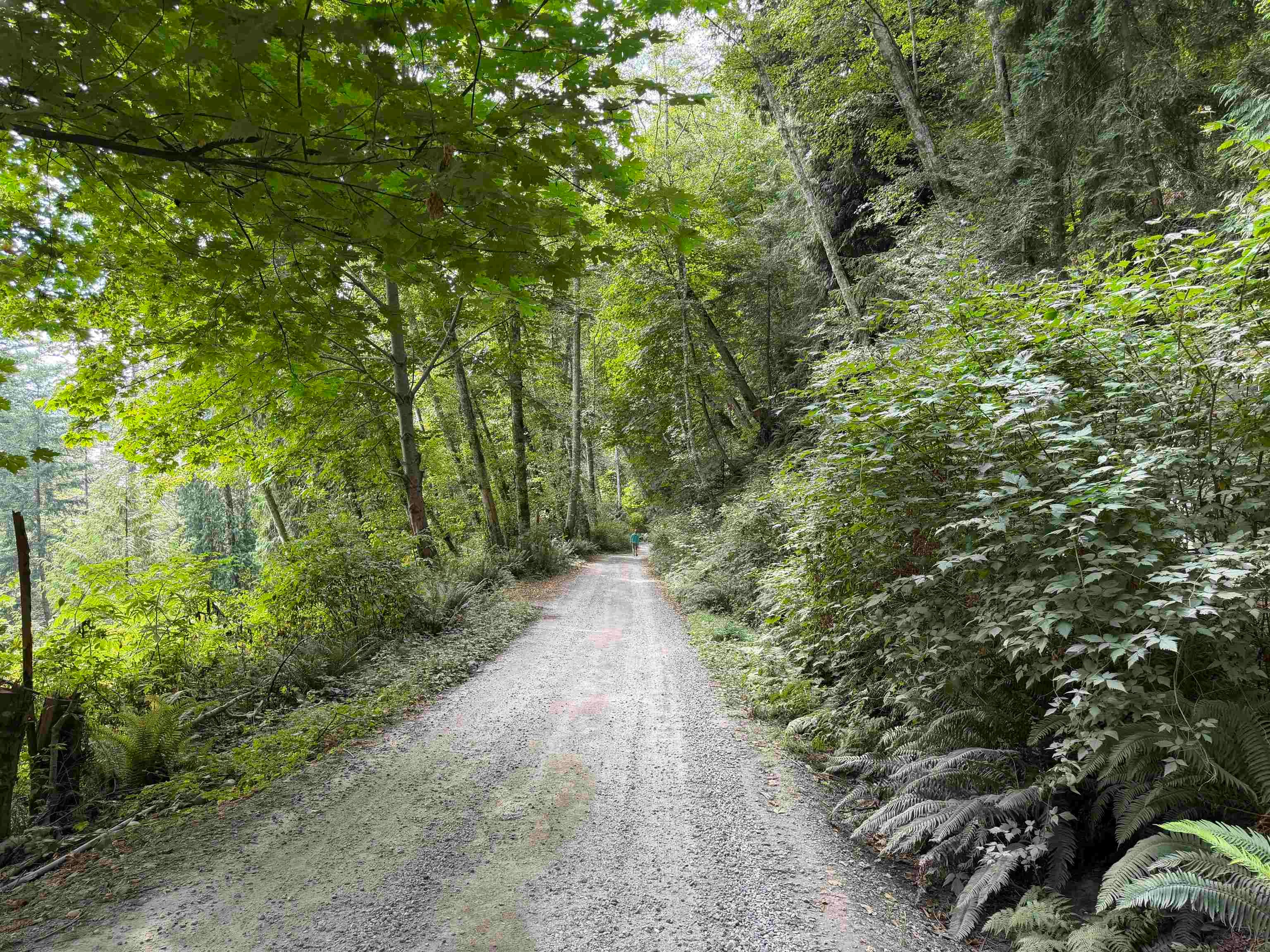 LOT 16 Hairy Elbow Road - 3