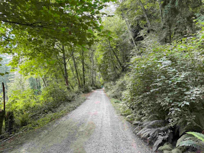 LOT 16 Hairy Elbow Road - 3
