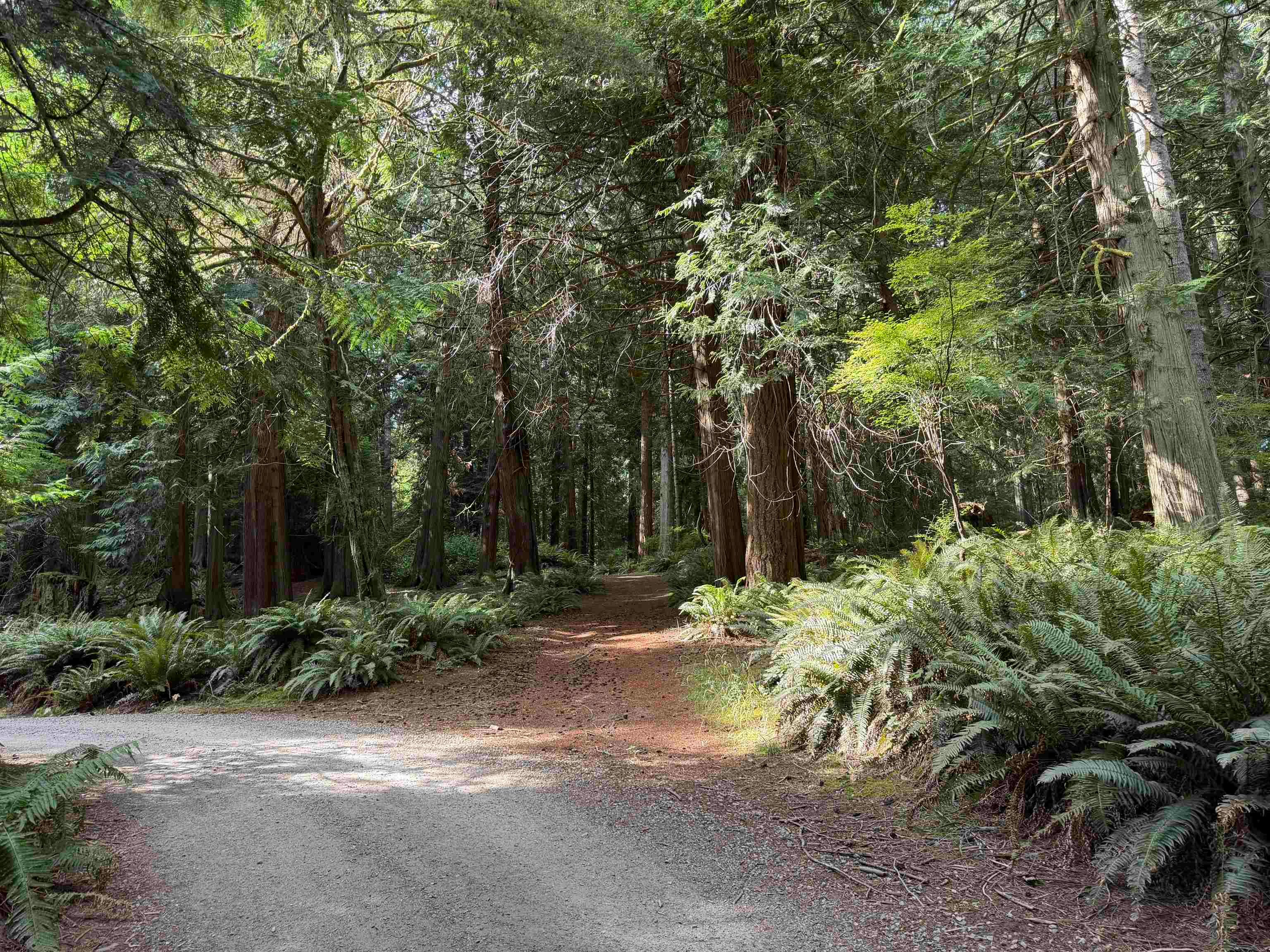 LOT 16 Hairy Elbow Road, Halfmoon Bay, BC, V0N 3A0 - 10