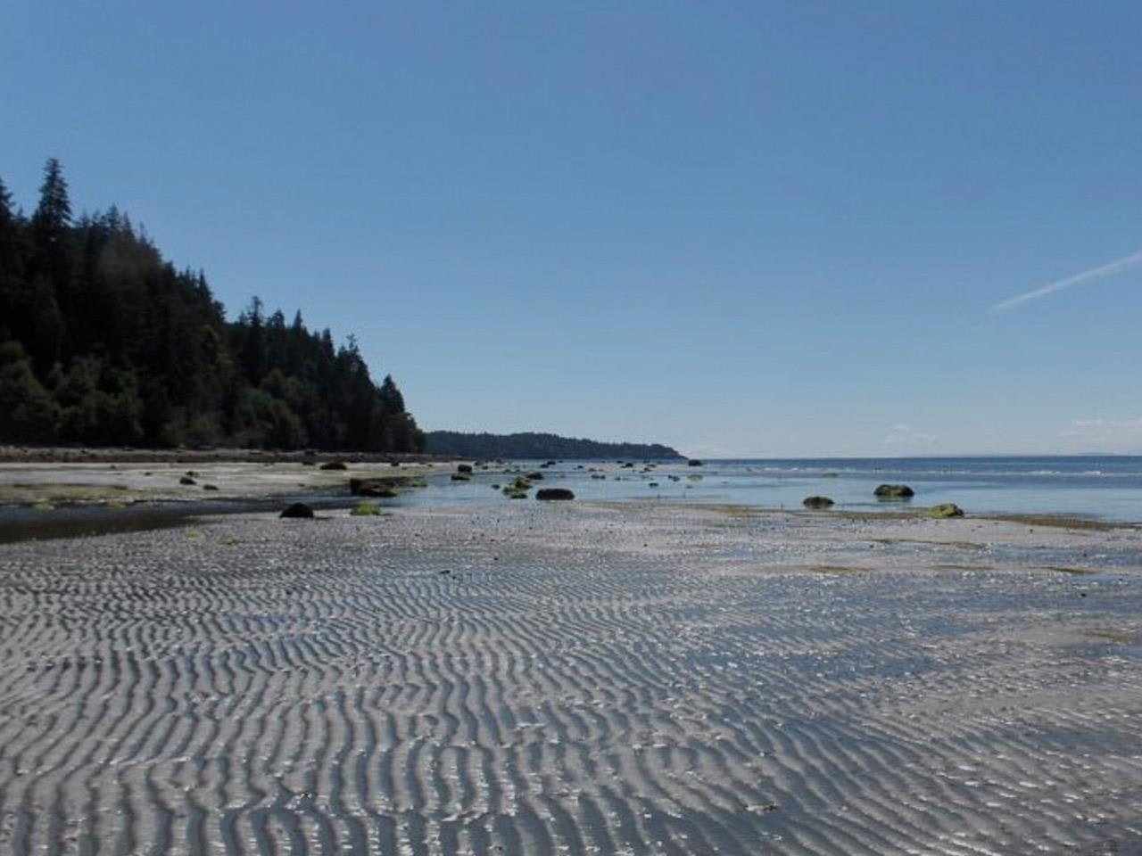LOT 16 Hairy Elbow Road, Halfmoon Bay, BC, V0N 3A0 - 16