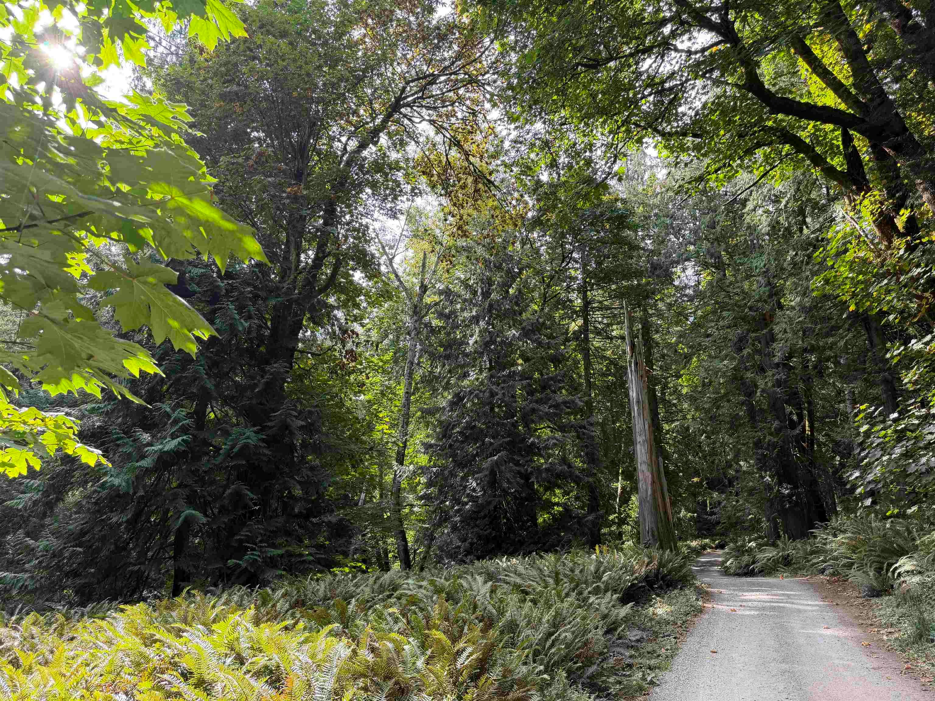 LOT 16 Hairy Elbow Road - 4