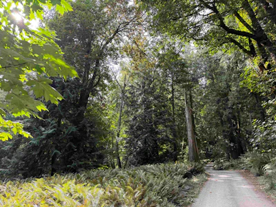 LOT 16 Hairy Elbow Road - 4