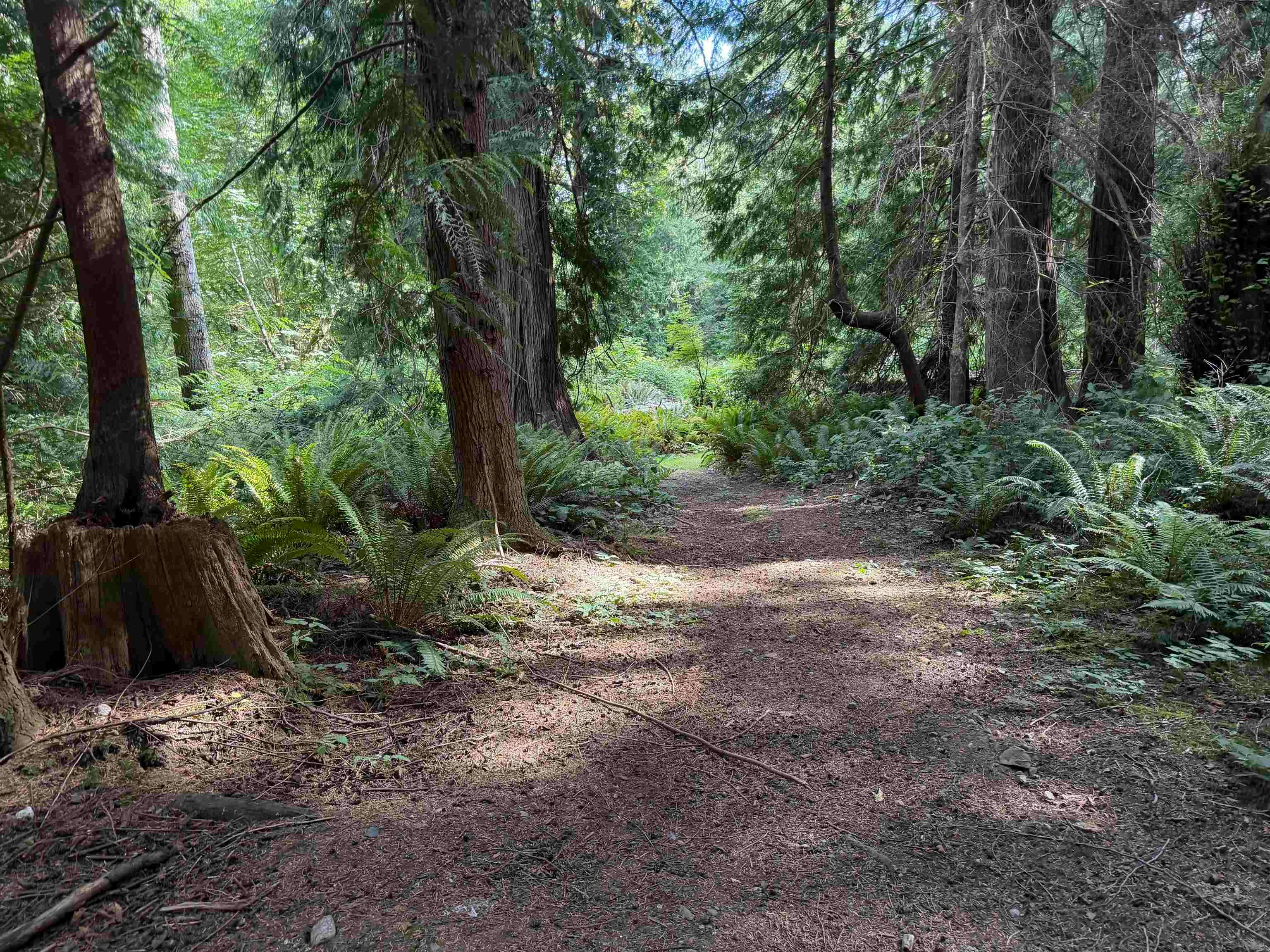 LOT 16 Hairy Elbow Road, Halfmoon Bay, BC, V0N 3A0 - 12