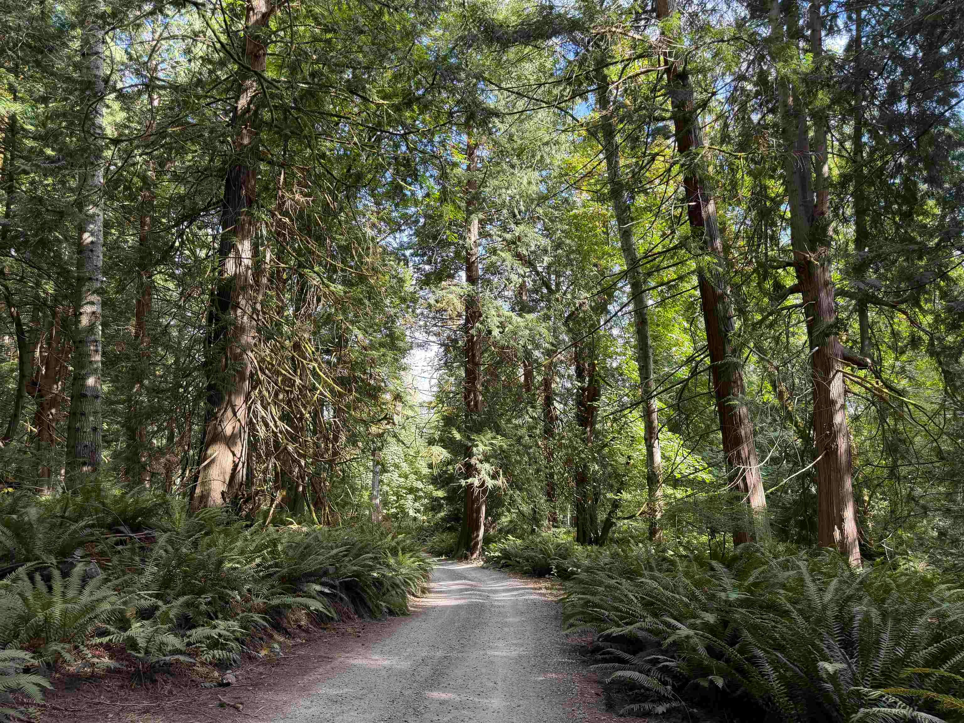 LOT 16 Hairy Elbow Road, Halfmoon Bay, BC, V0N 3A0 - 11