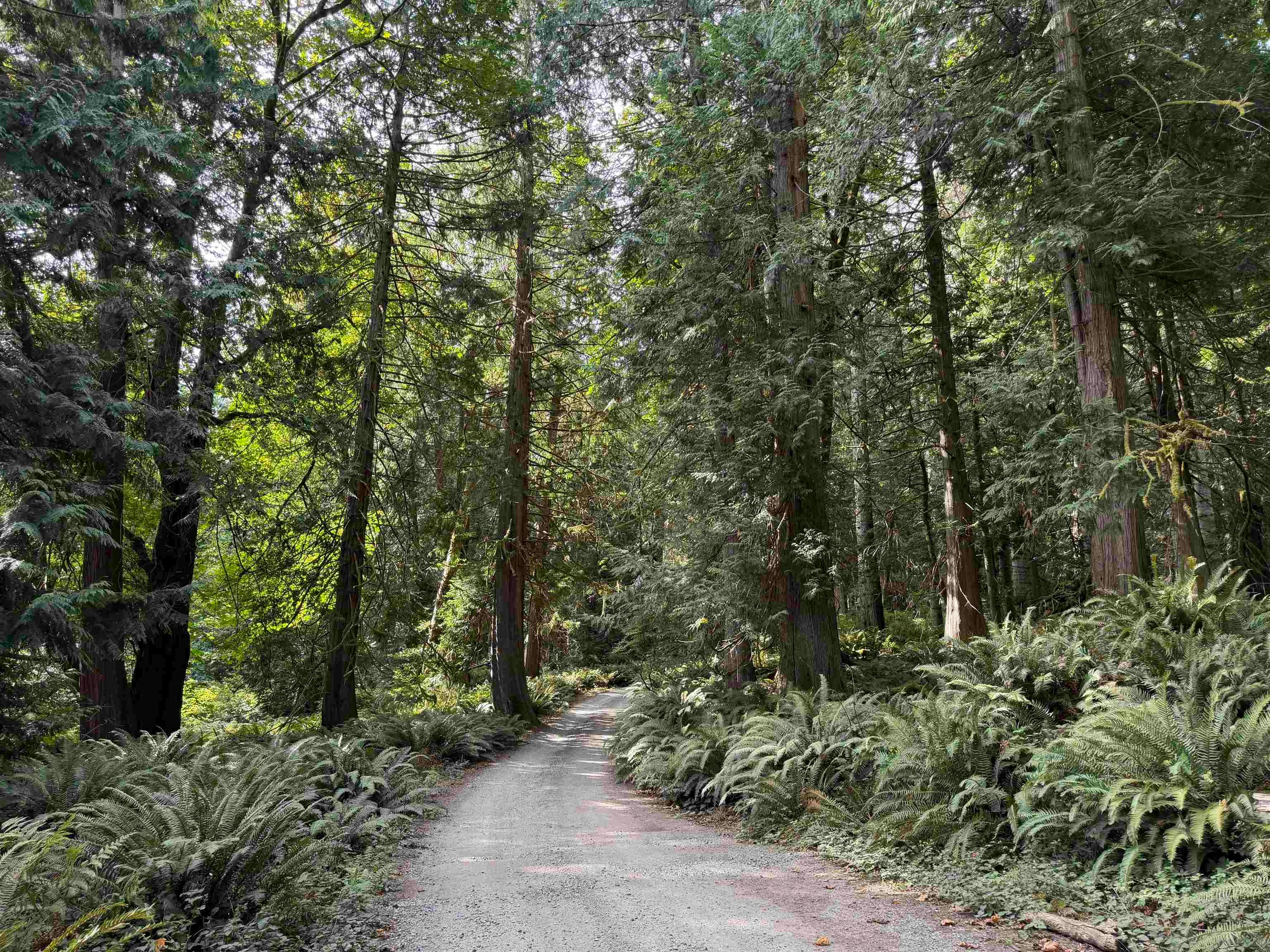 LOT 16 Hairy Elbow Road, Halfmoon Bay, BC, V0N 3A0 - 9