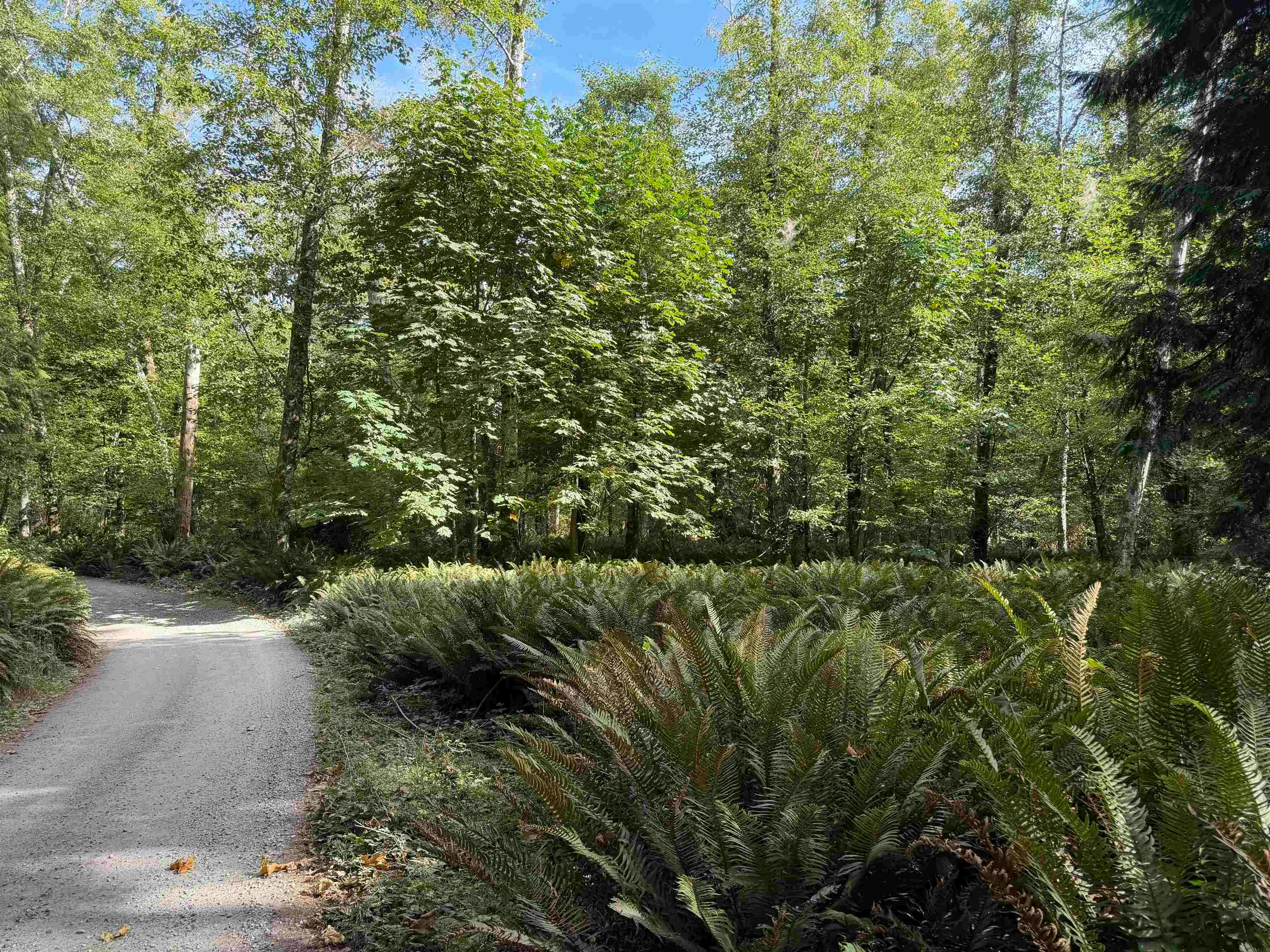 LOT 16 Hairy Elbow Road, Halfmoon Bay, BC, V0N 3A0 - 8
