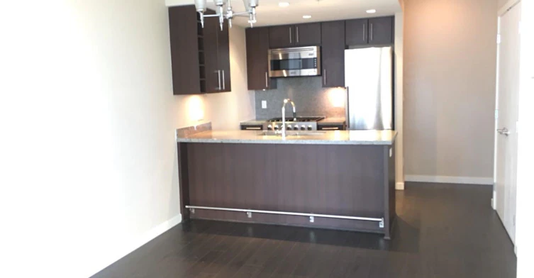911-1708 Columbia Street, Vancouver, BC, V5Y 0H7 - 3