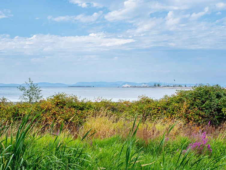 218-1120 Tsatsu Shores Drive, Delta, BC, V4M 4G3 - 38