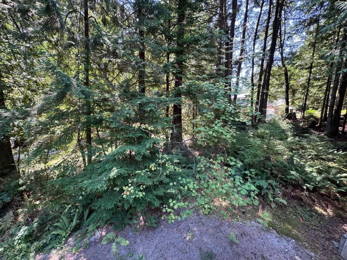 12193 Rothsay St, Maple Ridge, BC, V2W 1E2 - 21