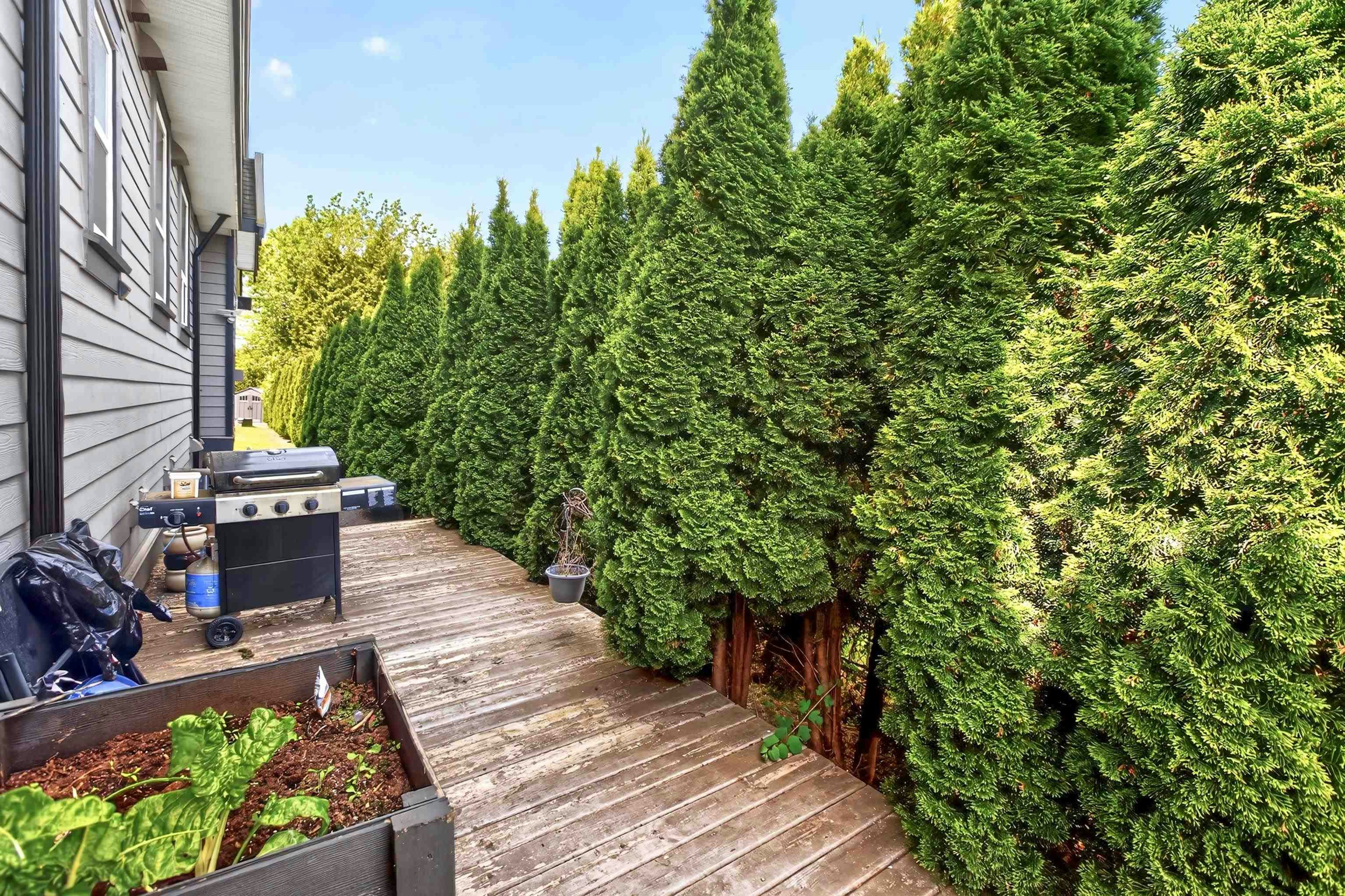 21833 51 Avenue, Langley, BC, V3A 8P7 - 35