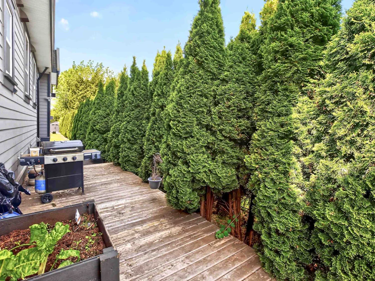 21833 51 Avenue, Langley, BC, V3A 8P7 - 35