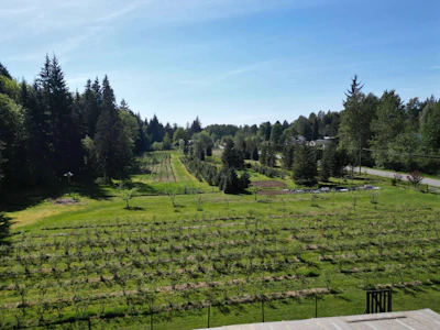 25908 124 Avenue - 4