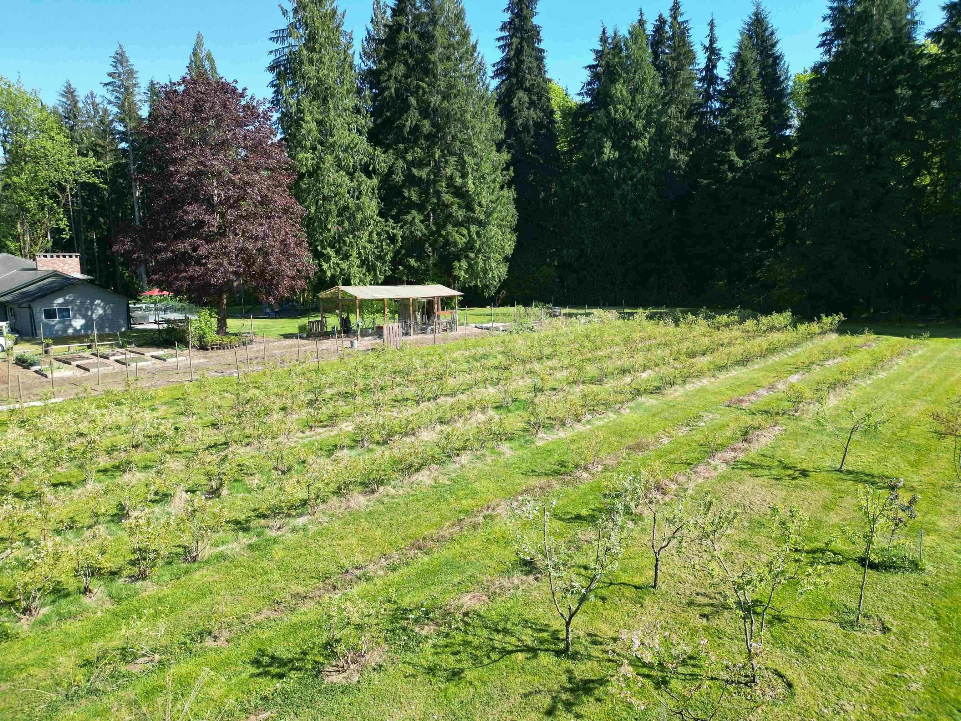 25908 124 Avenue - 5