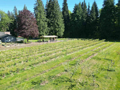 25908 124 Avenue - 5